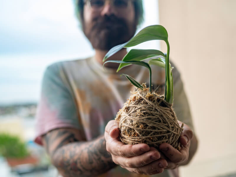 Kokedama Classes in San Francisco Come with Tons of Benefits
